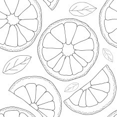 Vector background Oranges fruit seamless pattern N3