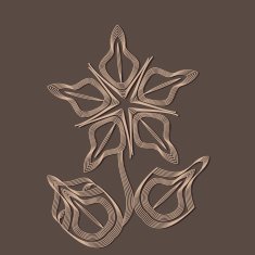 Geometry flower N2