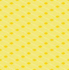 vibrant zigzag wave pattern