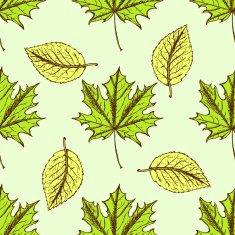 Sketch leaves in vintage style N2