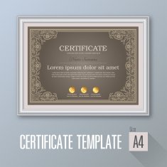 CERTIFICATE 02