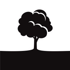 Black Tree Vector Illustration N4