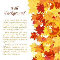 Autumn Frame N13