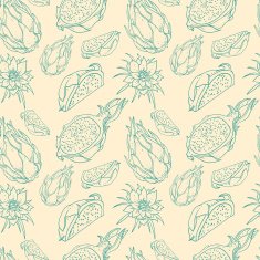 Pitaya vector organic fruit seamless pattern N2