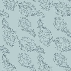 Pitaya vector organic fruit seamless pattern N4