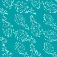 Pitaya vector organic fruit seamless pattern N5