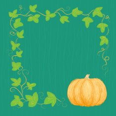 Hand drawn pumpkin and vine