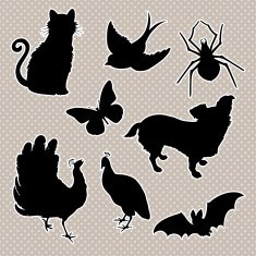 Vector set silhouettes