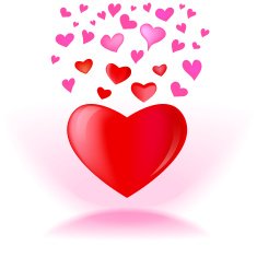 Heart vector graphic design N2