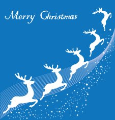 Reindeer N11