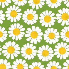 Seamless summer camomiles pattern