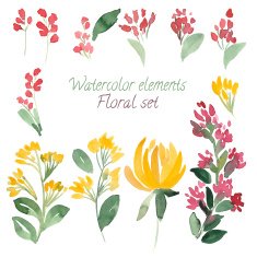 set of watercolor flowers and leaf N2