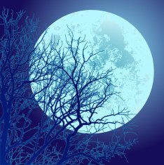 autumn branches and the moon