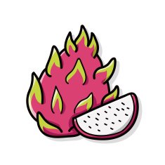 fruits Pitaya doodle N2