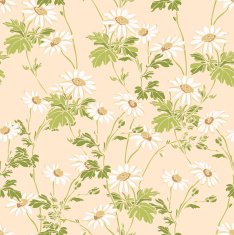 Seamless pattern with Camomile flowers N4