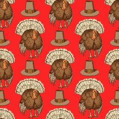 Sketch Thanksgiving hat and turkey