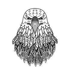 Eagle N6