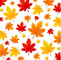 autumn leaves N49