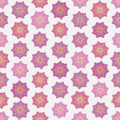 Seamless colorful background made of lotus