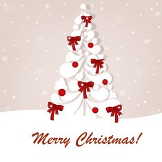 Beautiful vector Christmas card N3