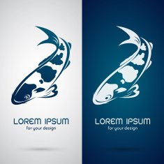 Vector image of an carp koi design