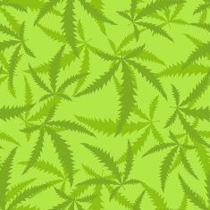 Marijuana is a seamless pattern Background of narcotic plant