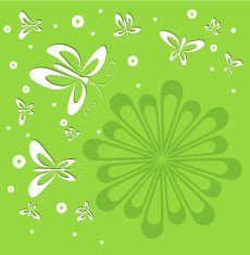 Butterflies and Flower N3