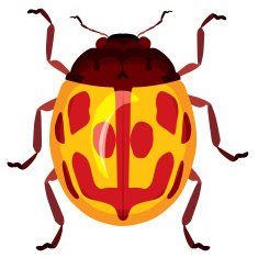 Beetle N4