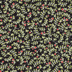 Lovely autumn background with cranberries N4