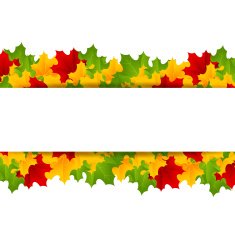maple template N4