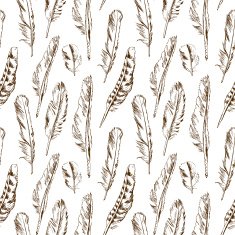 Hand drawn seamless pattern of different types birds feather