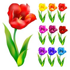 Colorful flower background Vector illustration