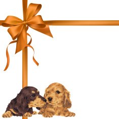 dog and ribbon illustration N37