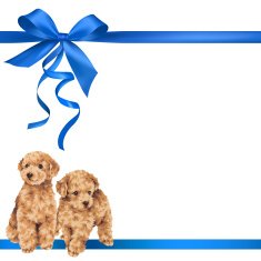dog and ribbon illustration N52