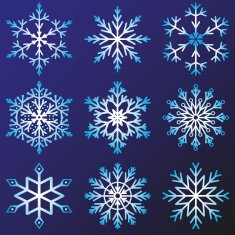 Set of snowflakes vector N2