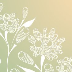 Floral abstract background N84