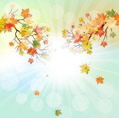 Autumn Frame N26
