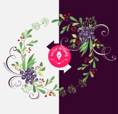 watercolor design elements