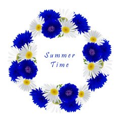 Vector white background with chamomile and cornflowers N2