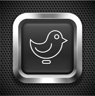 Bird Chat on Black Square