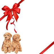 dog and ribbon illustration N66