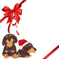 dog and ribbon illustration N73