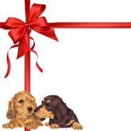 dog and ribbon illustration N84