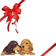 dog and ribbon illustration N87