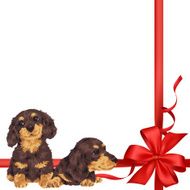 dog and ribbon illustration N88