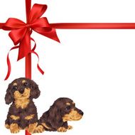 dog and ribbon illustration N89