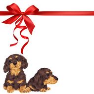 dog and ribbon illustration N90