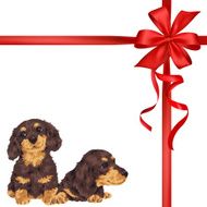 dog and ribbon illustration N91