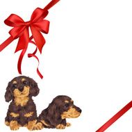 dog and ribbon illustration N92