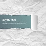 Crumpled ripped rolled vector white paper background